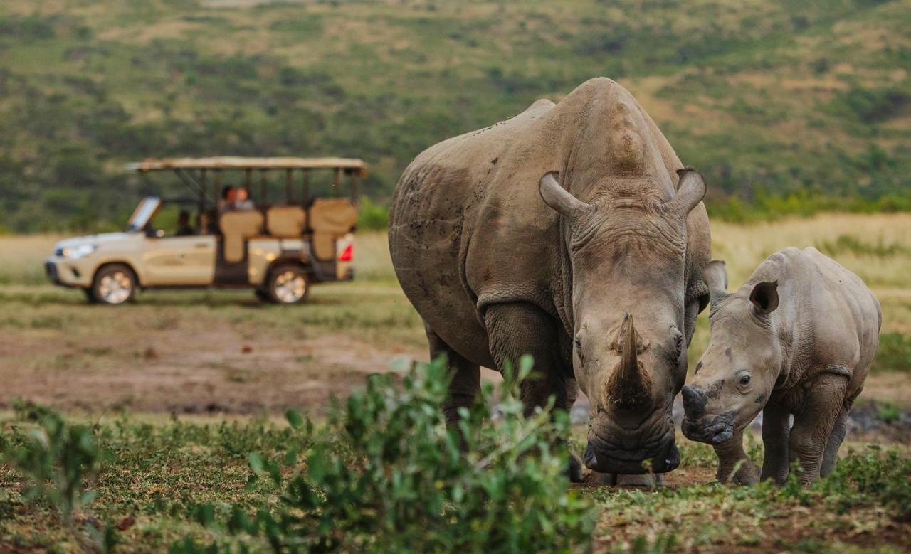 Rhino Ridge Safari Lodge KwaNompondo Exteriör bild