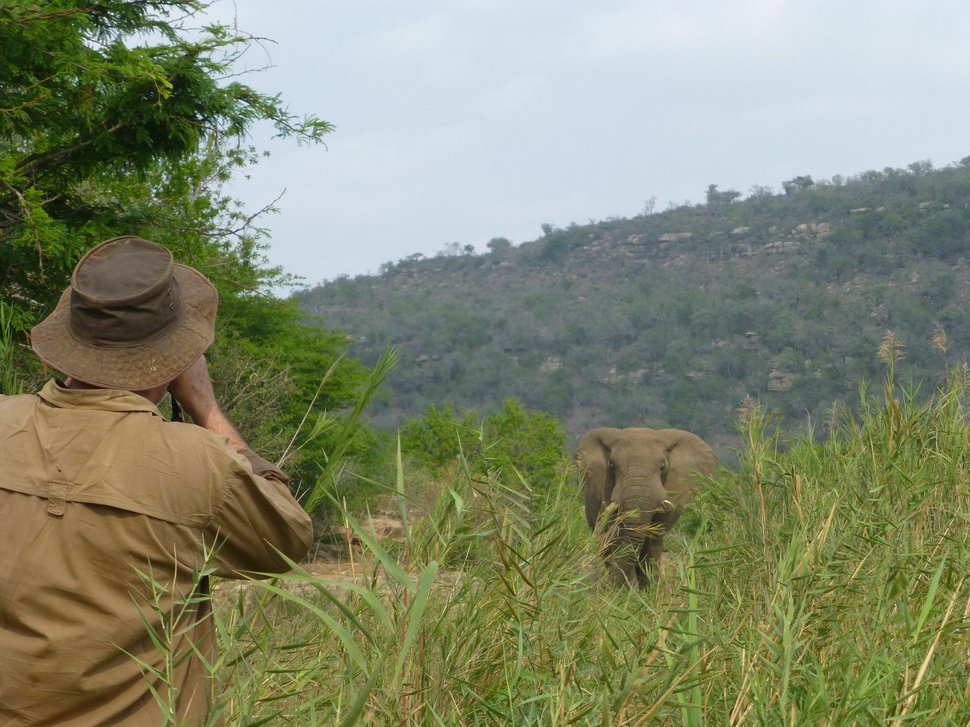 Rhino Ridge Safari Lodge KwaNompondo Exteriör bild